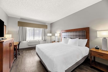 Standard Room, 1 King Bed, Accessible, Non Smoking