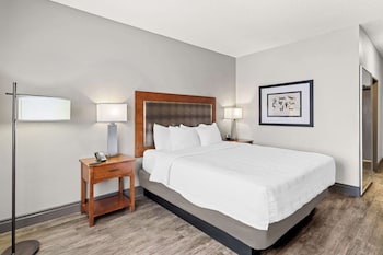 Standard Room, 1 King Bed, Accessible, Non Smoking