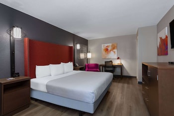 Room, 1 King Bed, Non Smoking