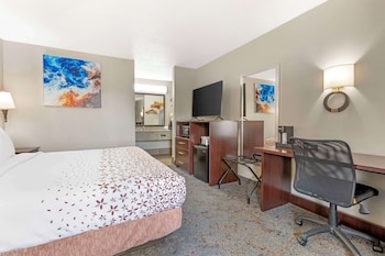 Standard Room, 1 King Bed, Accessible, Bathtub