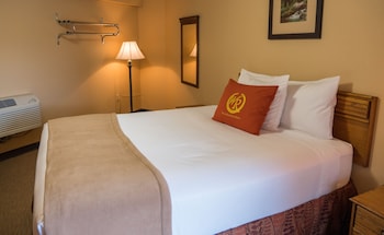 1 Queen Bed - Poolside