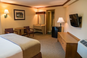 1 Queen Bed - Poolside