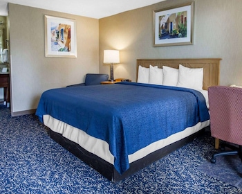 Standard Room, 1 King Bed, Non Smoking