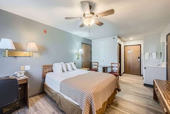 Room, 1 King Bed, Non Smoking