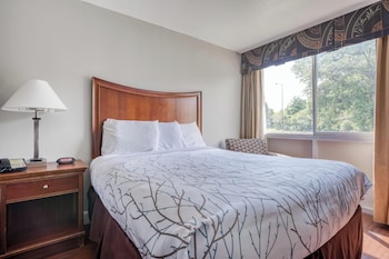 Room, 1 King Bed, Non Smoking