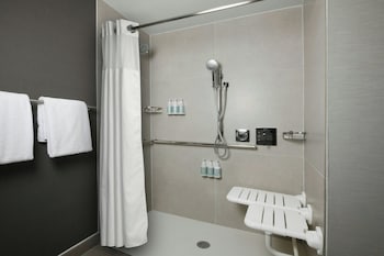 Room, 1 King Bed with Sofa bed
