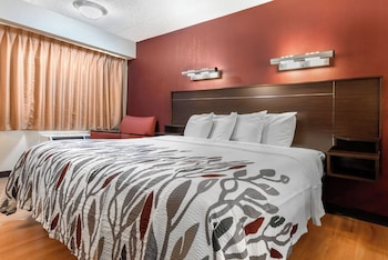 Superior Room, 1 King Bed, Non Smoking
