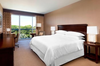 Traditional Room, 1 King Bed (Mobility Accessible, Tub)