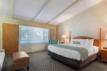 Room, 1 King Bed, Non Smoking, Jetted Tub