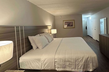 Room, 1 King Bed, Mobility Accessible, Non Smoking (Mobility, Bathtub W/grab Bars)