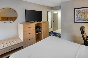 Standard Room, 1 Queen Bed, Accessible, Non Smoking