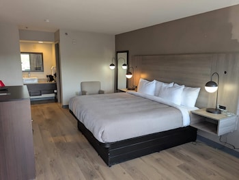 Standard Room, 1 King Bed, Non Smoking
