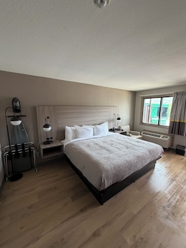 Standard Room, 1 King Bed, Non Smoking
