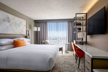 Room, 1 King Bed (Mobility/Hearing Access, Roll-In Shwr)