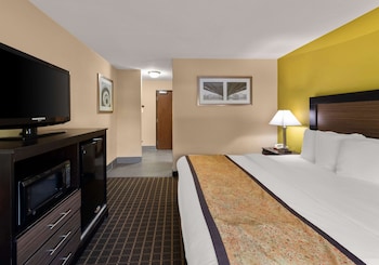 Standard Room, 1 King Bed, Non Smoking, Refrigerator & Microwave (Shower Only;Larger Room)