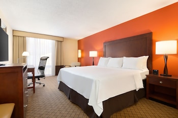 Room, 1 King Bed, Accessible, Non Smoking