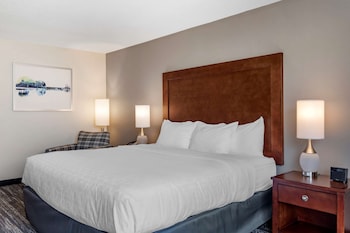 Room, 1 King Bed, Non Smoking