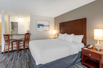 Room, 1 King Bed, Accessible, Non Smoking