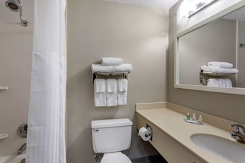 Room, 1 King Bed, Accessible, Non Smoking