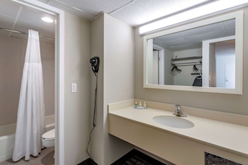 Room, 1 King Bed, Non Smoking (Upgrade)