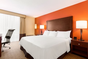 Room, 1 King Bed, Accessible, Non Smoking