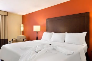 Room, 1 King Bed, Accessible, Non Smoking