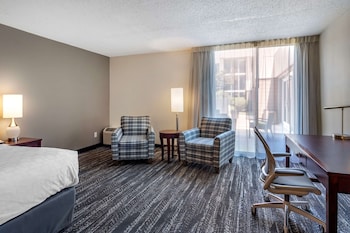 Room, 1 King Bed, Accessible, Non Smoking