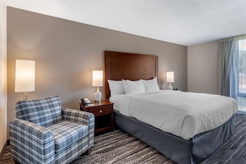 Room, 1 King Bed, Non Smoking