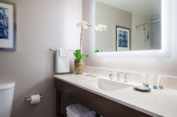 Traditional Room, 1 King Bed, Smoking (Mobility Accessible, Tub)