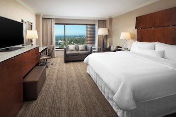 Traditional Room, 1 King Bed, Smoking (Mobility Accessible, Roll-in Shower)