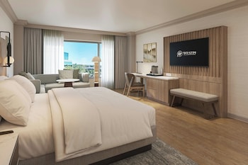 Room, 1 King Bed, Park View