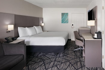 Deluxe Room, 1 King Bed, Non Smoking