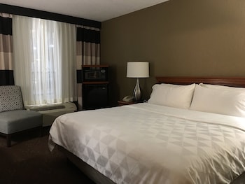 Standard Room, 1 King Bed, Accessible (Mobility Accessible)