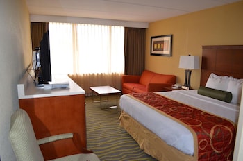 Standard Room, 1 King Bed, Non Smoking, Refrigerator & Microwave (with Sofabed)