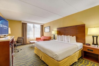 Standard Room, 1 King Bed, Non Smoking, Refrigerator & Microwave (with Sofabed)