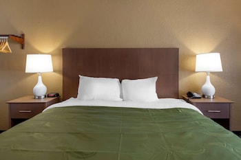 Room, 1 King Bed, Accessible, Non Smoking