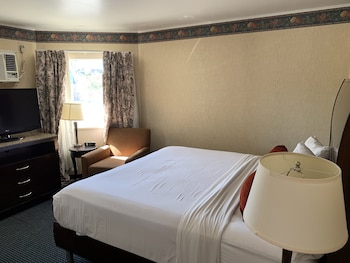 Junior Suite, 1 King Bed, Non Smoking