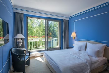 Superior Room, 1 Queen Bed, Park View