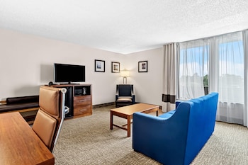 Suite, 1 King Bed with Sofa bed, Non Smoking