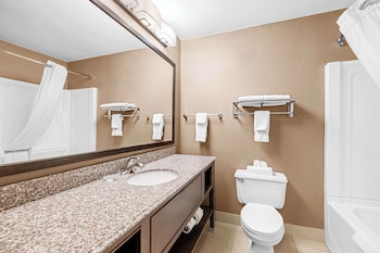 Suite, 1 King Bed, Non Smoking, Refrigerator & Microwave (with Sofabed)