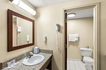 Standard Double Room, 2 Double Beds, Non Smoking