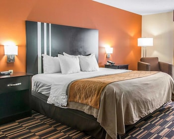 Standard Room, 1 King Bed, Non Smoking