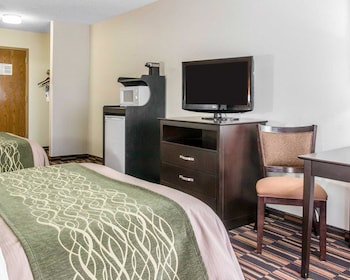 Standard Double Room, 2 Double Beds, Non Smoking