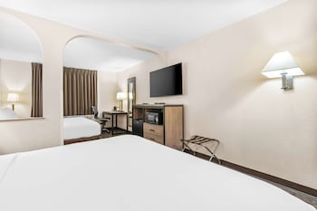 Room, Multiple Beds