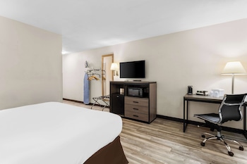Room, 1 King Bed, Accessible