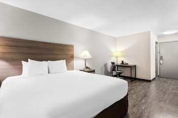 Room, 1 King Bed