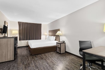 Room, 1 King Bed