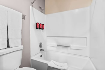 Room, Multiple Beds