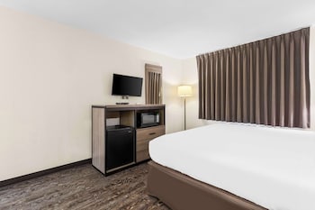 Room, 1 King Bed