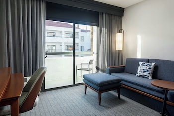 Room, 1 King Bed with Sofa bed